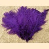 Pióro strusie 30-35cm, purpurowe